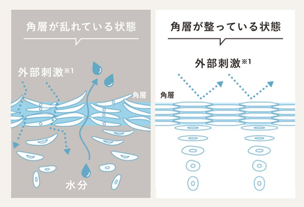 図解