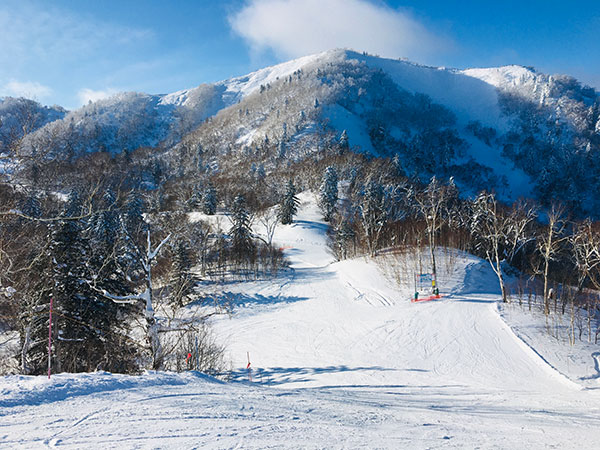 北海道の写真