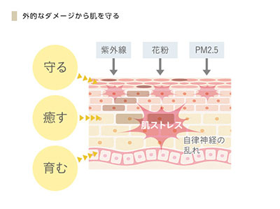 HANA_機能説明