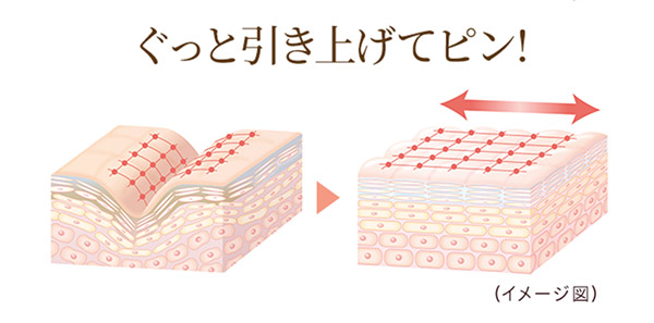 ストレッチ