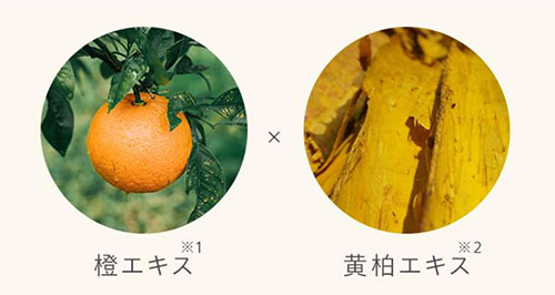 橙エキス
